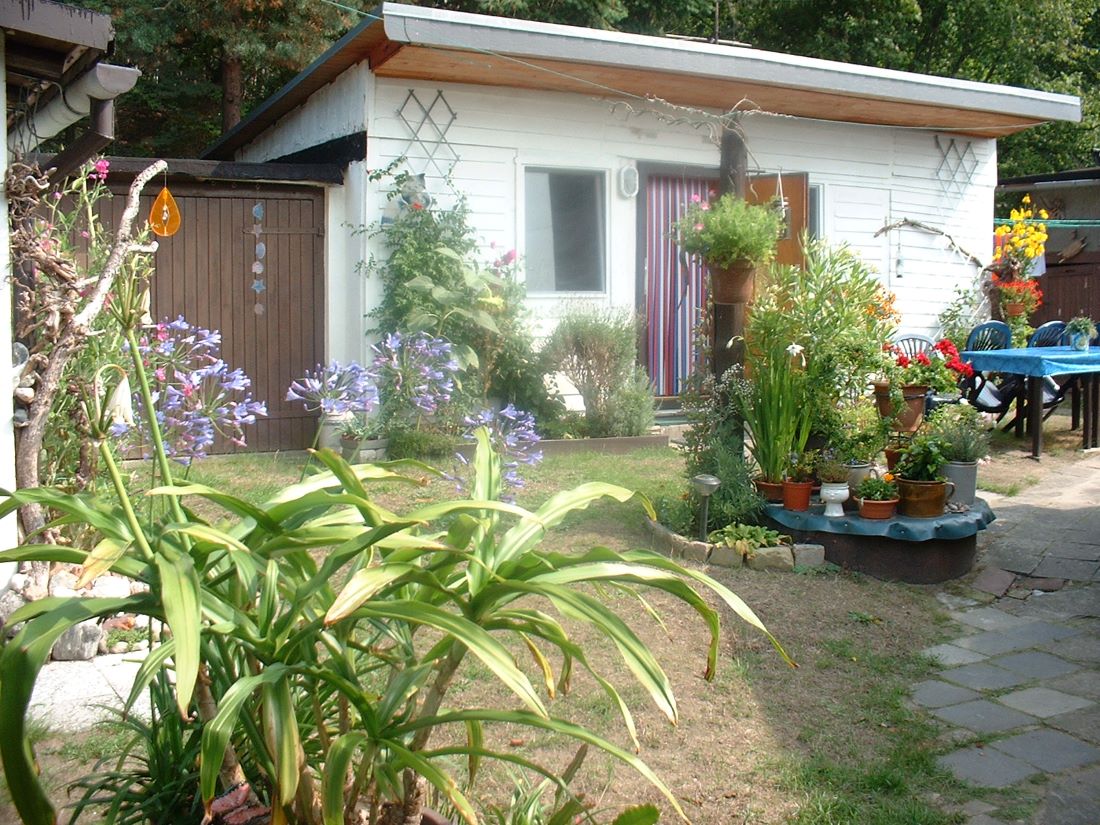 Blick zum Bungalow 2